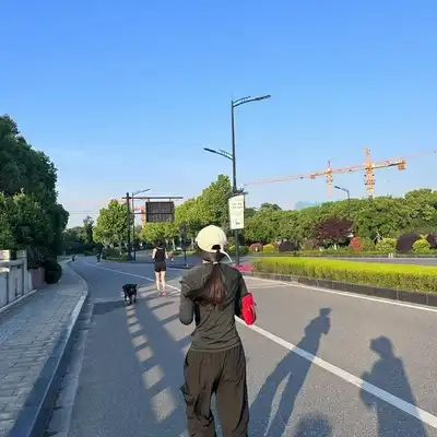 韦德其